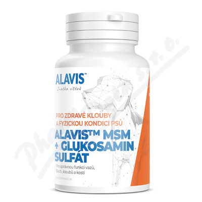 ALAVIS MSM+Glukosamin sulfát tbl.60